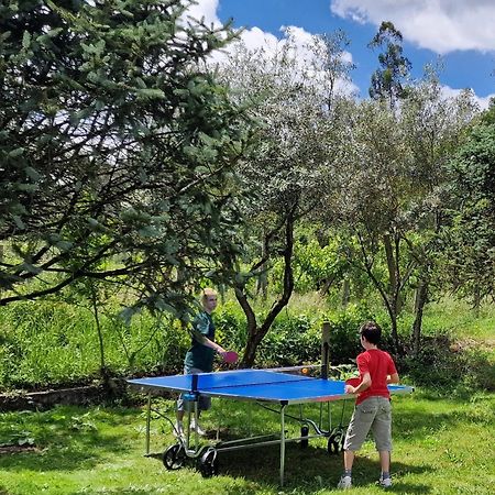 Dream Corner By Waterfalls, 20 Min To Oporto, By Porto With Love Lda Parada  Екстериор снимка