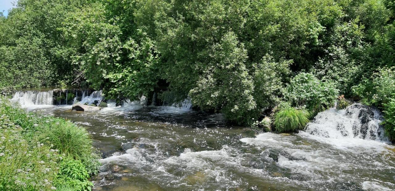 Dream Corner By Waterfalls, 20 Min To Oporto, By Porto With Love Lda Parada  Екстериор снимка