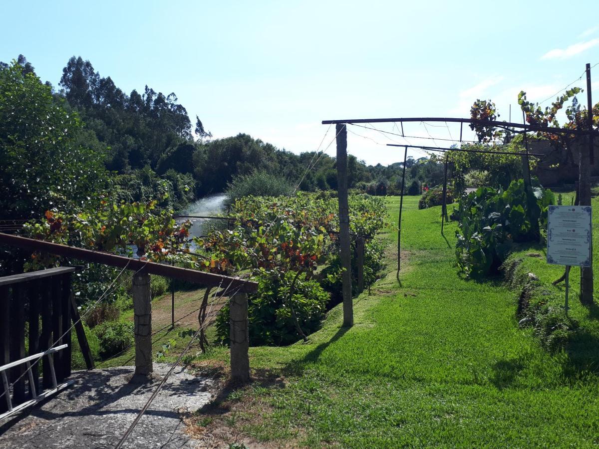 Dream Corner By Waterfalls, 20 Min To Oporto, By Porto With Love Lda Parada  Екстериор снимка