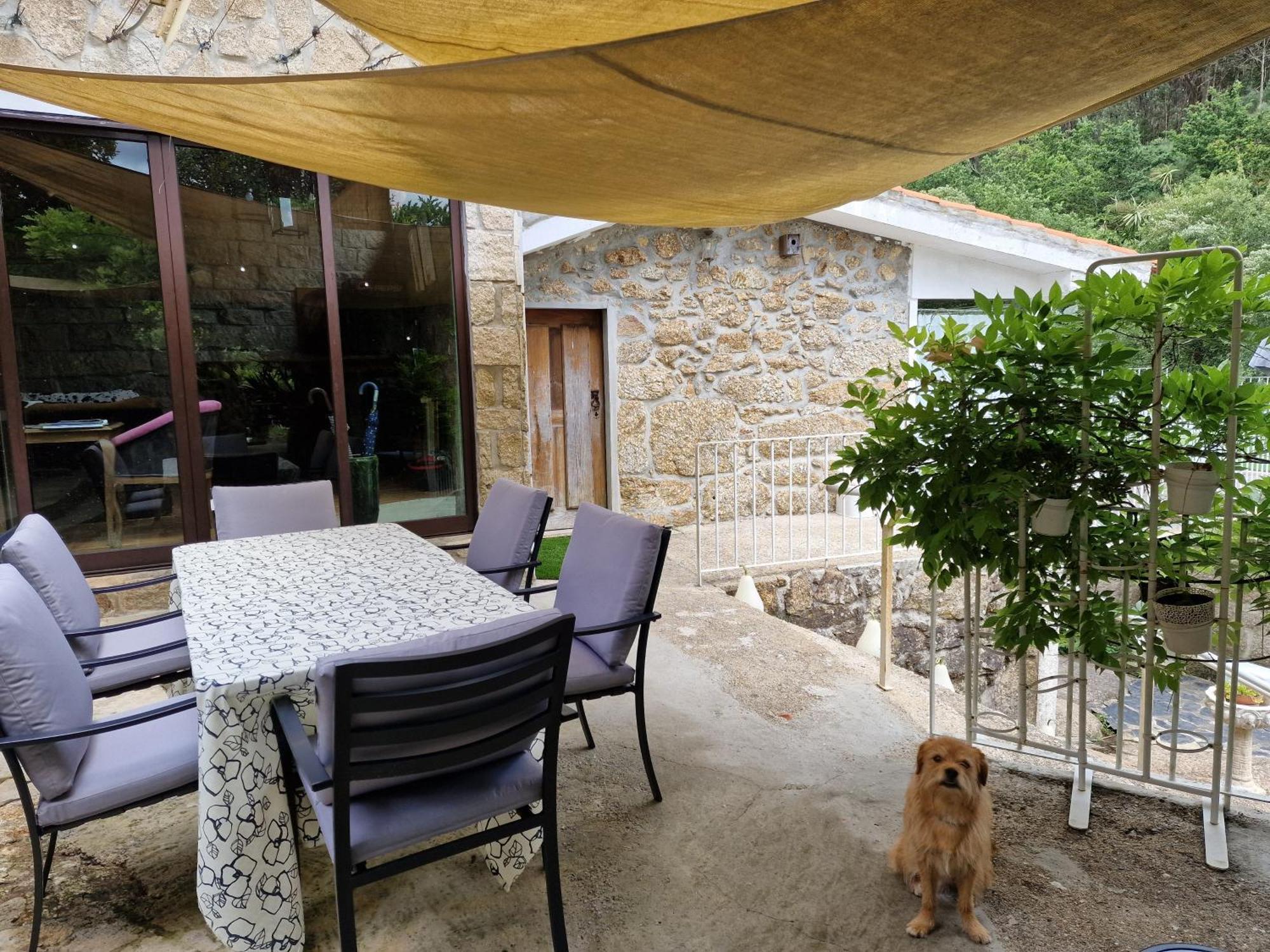Dream Corner By Waterfalls, 20 Min To Oporto, By Porto With Love Lda Parada  Екстериор снимка