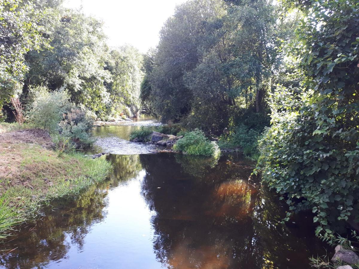 Dream Corner By Waterfalls, 20 Min To Oporto, By Porto With Love Lda Parada  Екстериор снимка